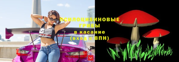 apvp Киреевск