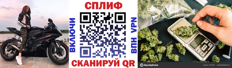 цена   Александровское  Бошки марихуана планчик 